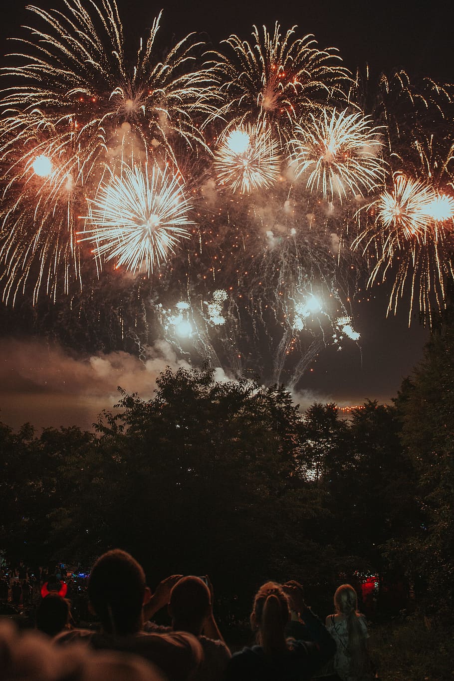 group of people watching fireworks display, night, party, light HD wallpaper