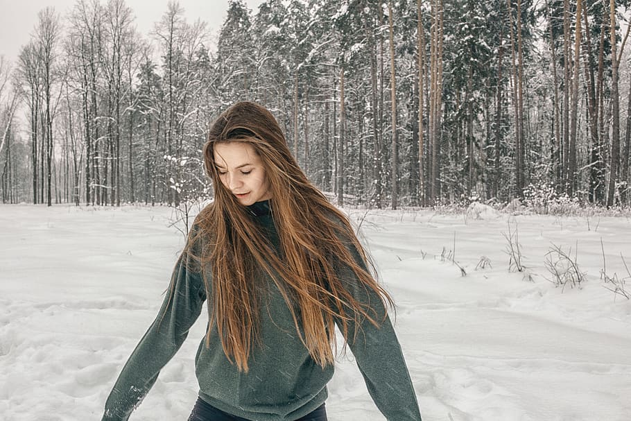 snow, winter, tree, coldly, wood, season, frozen, nature, ice HD wallpaper