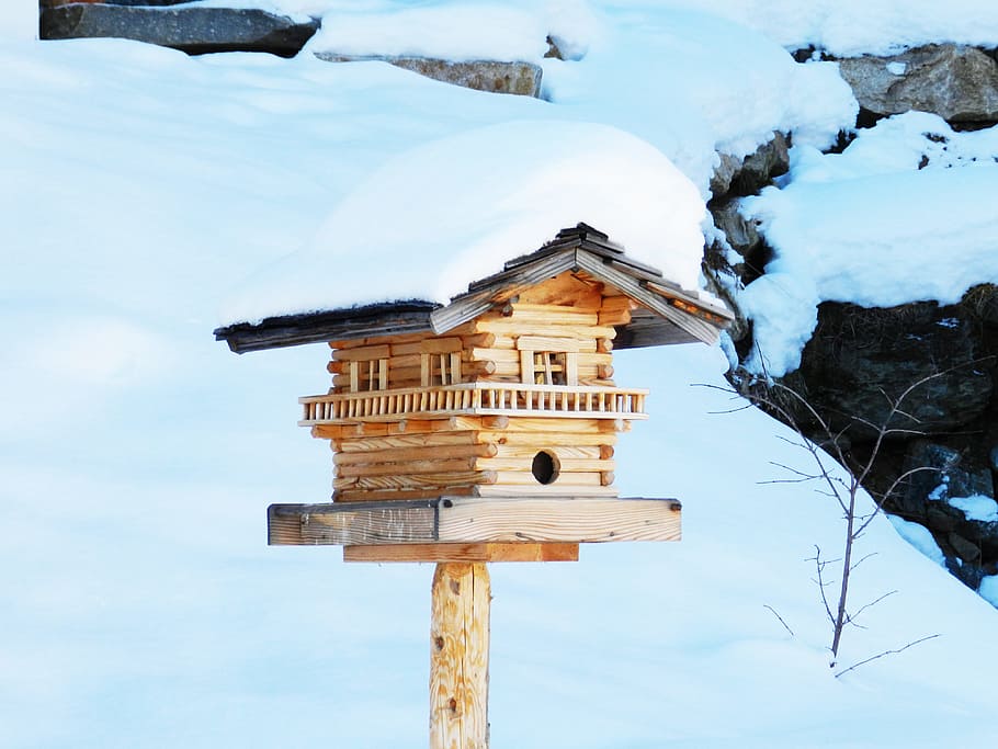 Wooden Bird House, austria, cold, daylight, rustic, snow, snowcapped
