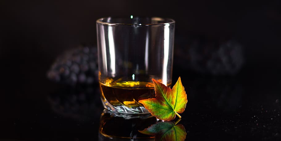 rum, whiskey, autumn, brandy, whisky, alcohol, whiskey glass HD wallpaper