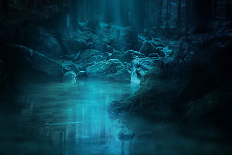 forest, waterfall, bach, moss, landscape, stones, waters, trees HD wallpaper