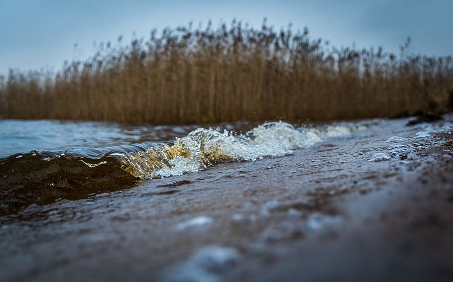 Selective Focus Photography of Sand Near Body of Water, beach HD wallpaper