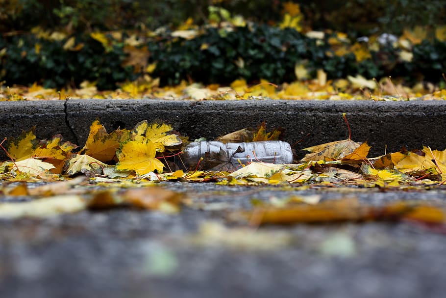 water bottle, plastic, plastic bottle, pollution, one way, road HD wallpaper