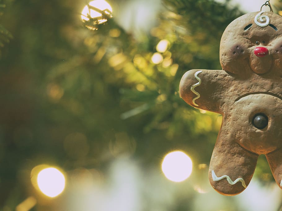 photography of gingerbread, ornament, christmas, holiday, decoration, HD wallpaper