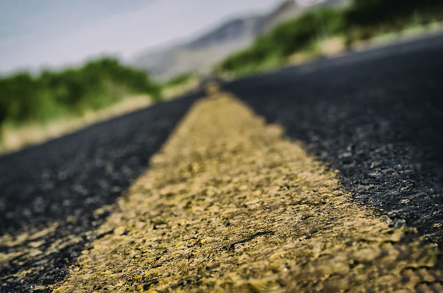 road, path, pavement, highway, transportation, plant, asphalt HD wallpaper