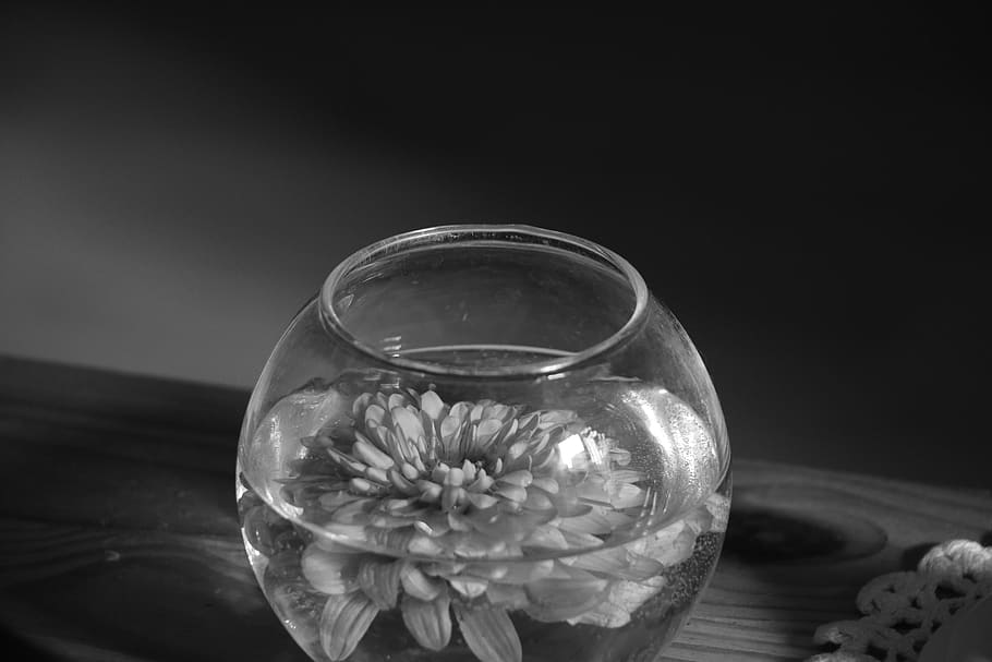 glass, vase, flower, jar, pottery, blossom, dahlia, plant, goblet, HD wallpaper