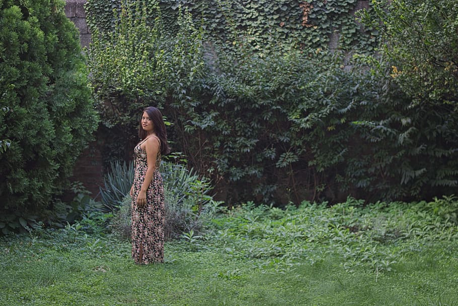 plant, tree, forest, land, women, one person, standing, nature HD wallpaper