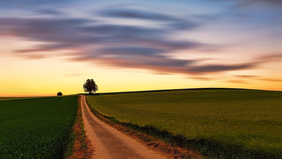 nature, landscape, sky, panorama, field, away, lane, path, fields HD wallpaper