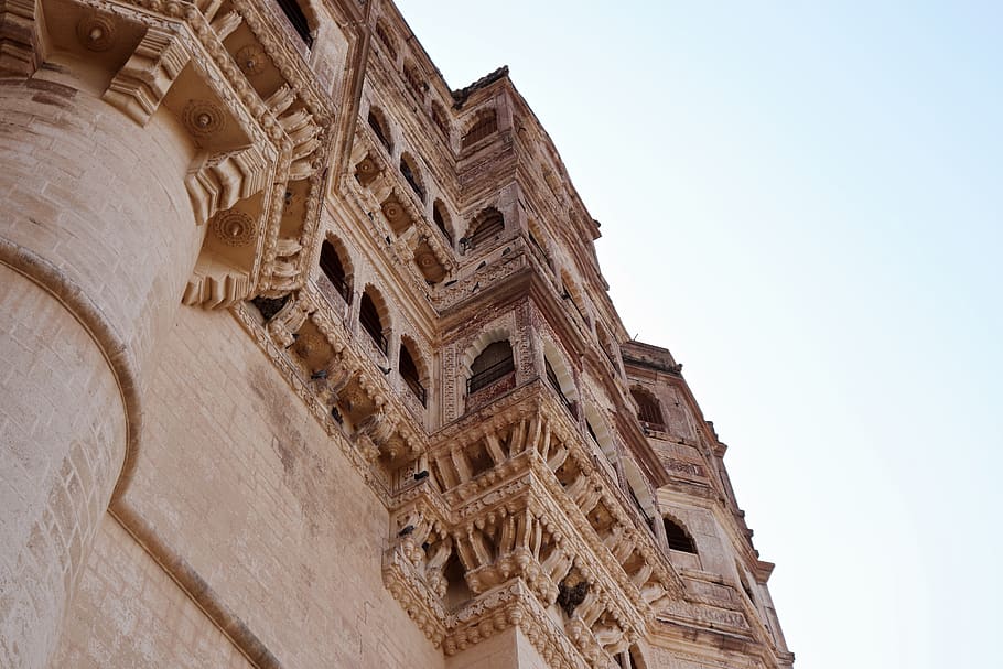 Guardian of Jodhpur by Ron Dijkstra on canvas, poster, wallpaper and more