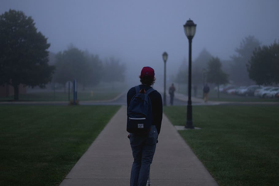 fog, sidewalk, backpack, walkway, park, suburban, weather, screenshot HD wallpaper