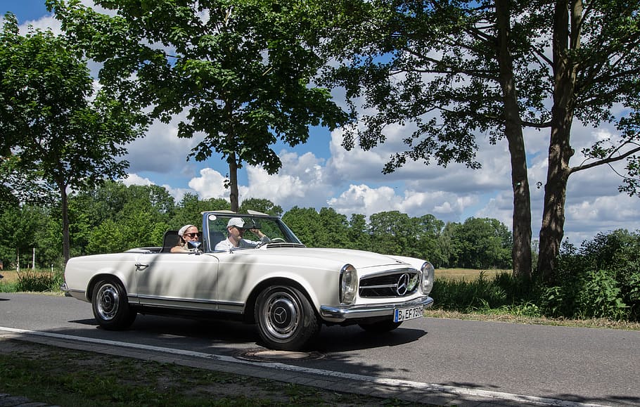 auto, tree, road, transport system, oldtimer, vehicle, mercedes HD wallpaper