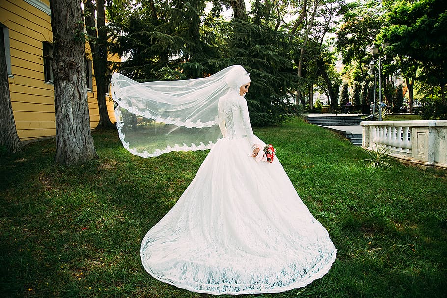 alvinmahmudov, wedding, plant, bride, tree, newlywed, event, HD wallpaper