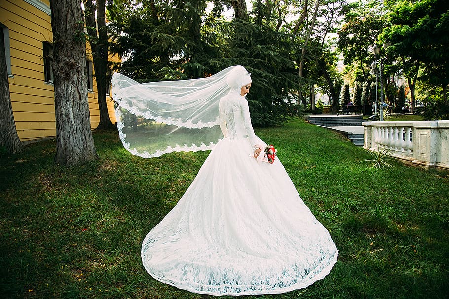 alvinmahmudov, wedding, plant, bride, tree, newlywed, event HD wallpaper