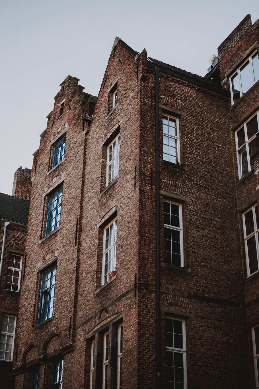 brown concrete building, brick, window, architecture, gent, belgium HD wallpaper