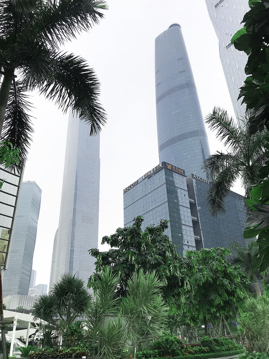 High-rise Buildings, architecture, city, fog, foggy, hotel, perspective HD wallpaper