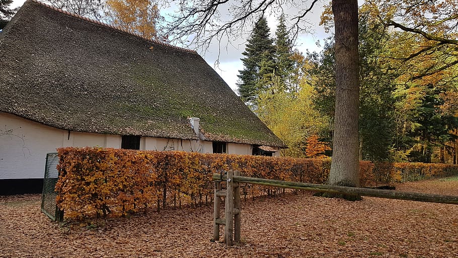 farm, belgium, old, fall, antwerp, peersbos, house, history HD wallpaper