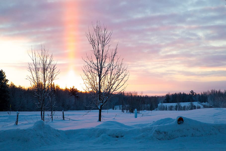 landscape, winter, cold, field, snow, cold temperature, sky, HD wallpaper