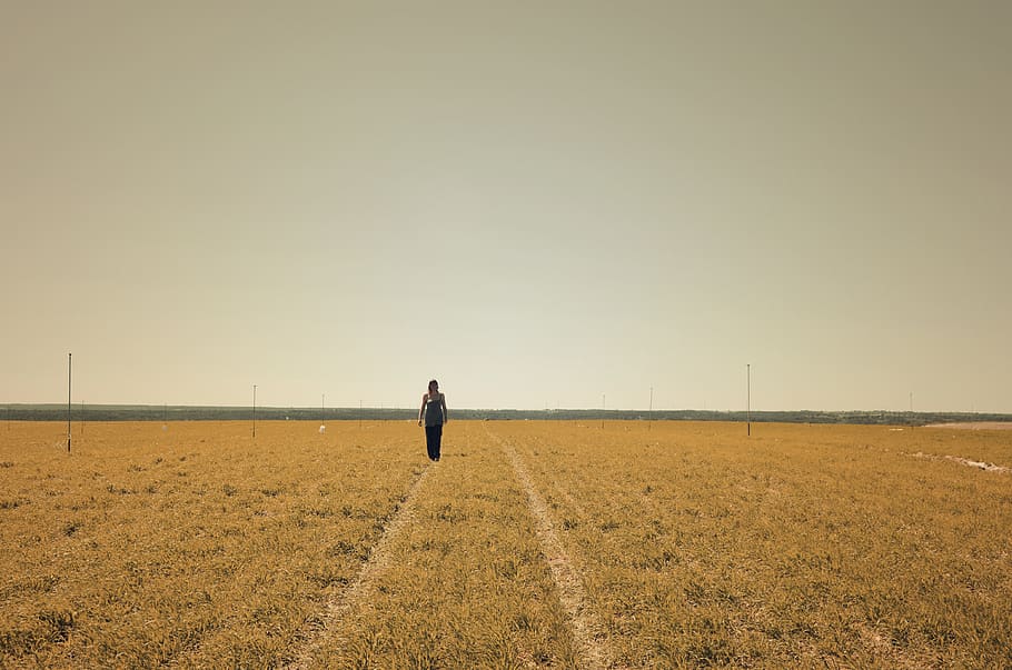 spain, candasnos, land, field, sky, landscape, real people HD wallpaper