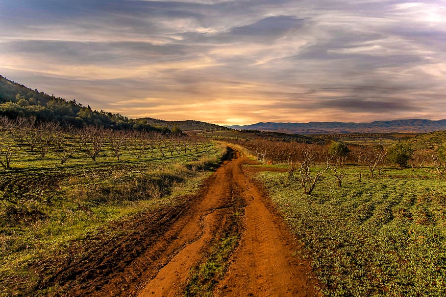 empty farm road under gray sky, landscape, environment, scenics - nature HD wallpaper