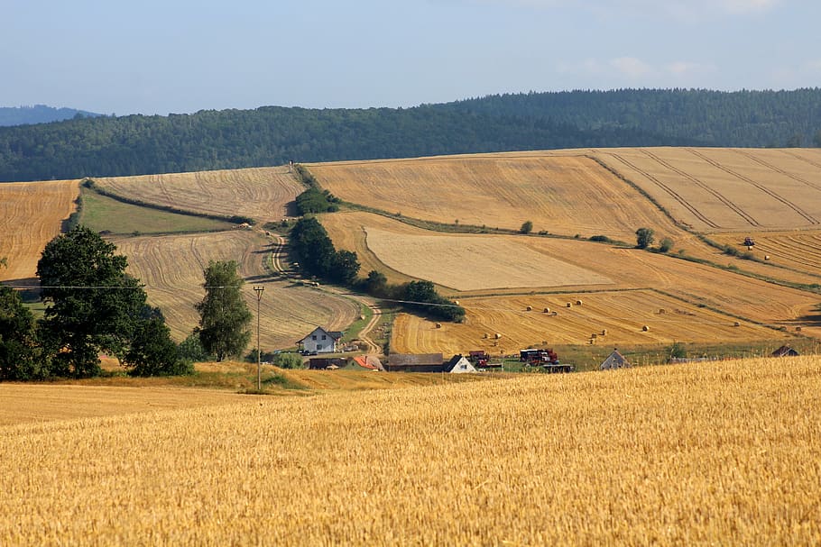 field, view, landscape, mountains, panorama, summer, agriculture HD wallpaper