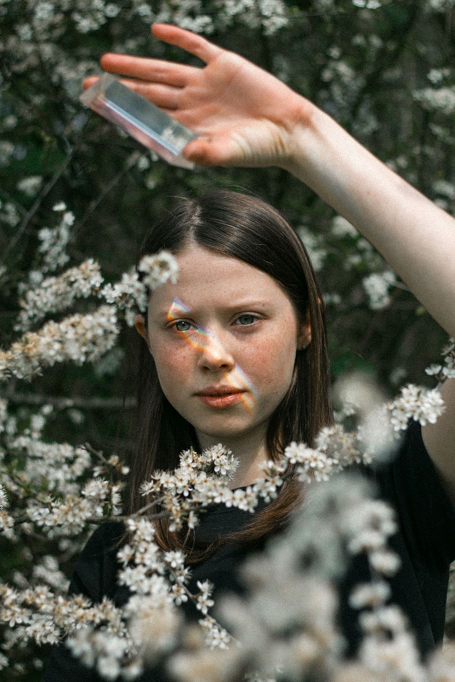 girl holding glass panel while standing behind white-flowering bush, HD wallpaper