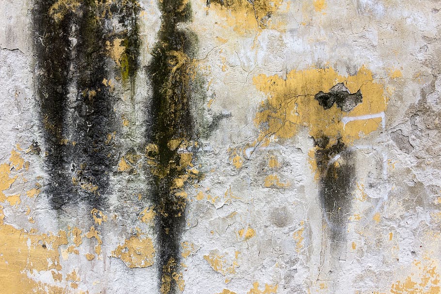 concrete, wall, texture, moss, weathered, textured, peeling off HD wallpaper