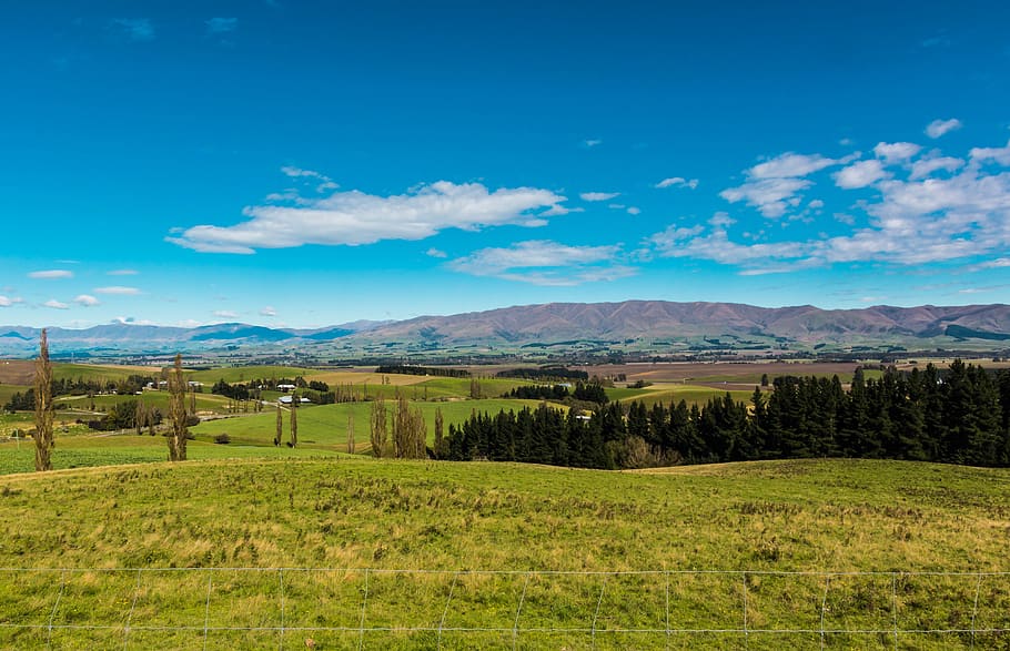 HD wallpaper: new zealand, fairlie, meadow, travel, landscape, scenery ...