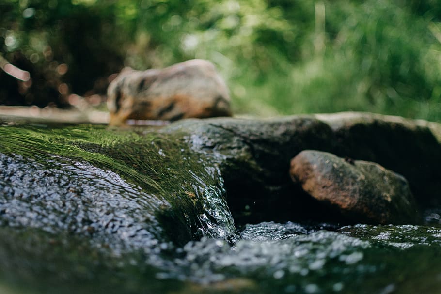 Time Lapse Photography of River, blur, environment, flow, forest HD wallpaper