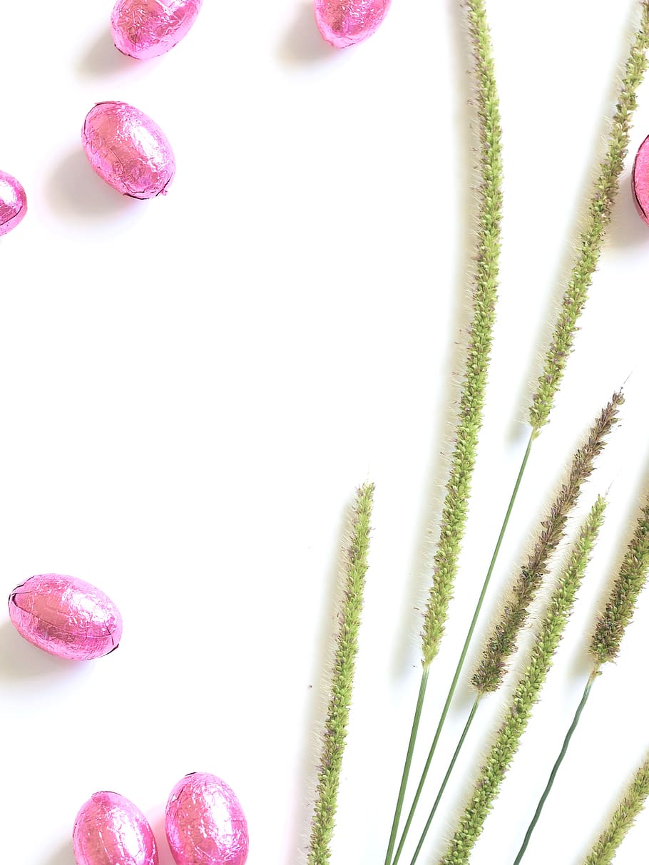 green plant on white surface, close-up, pink color, freshness HD wallpaper