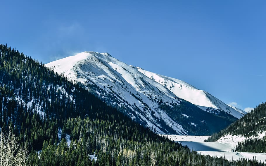 Photo of Snow Capped Mountain, cold, coniferous trees, daylight HD wallpaper