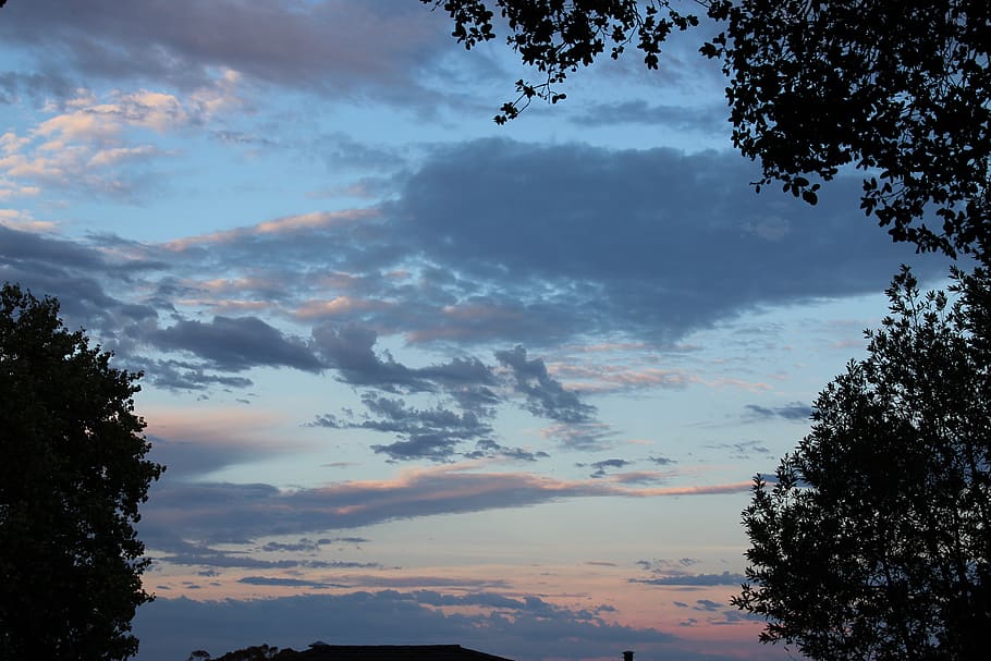 petaluma, sky, sunset, trees, clouds, cloud - sky, plant, beauty in nature HD wallpaper