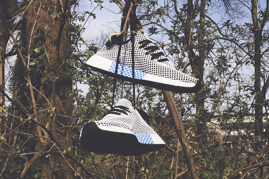 Pair of White Low-top Shoes Hanging on Tree, close-up, color HD wallpaper