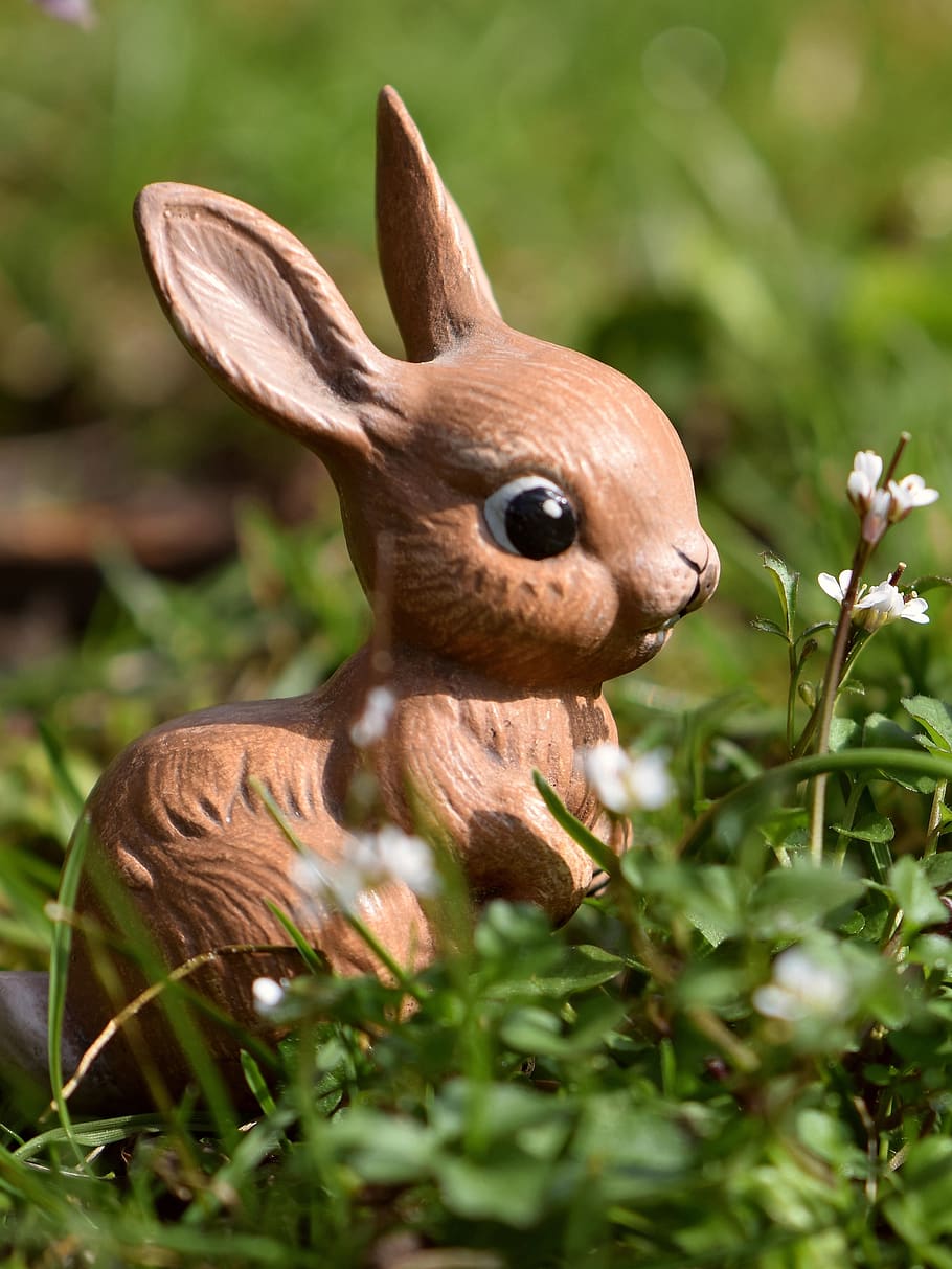 easter bunny, hare, figure, cute, cheerful, map, greeting card HD wallpaper
