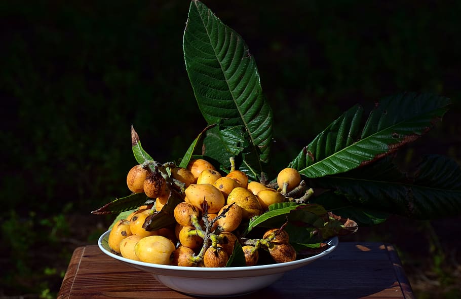 medlar, fruit, bio, unsprayed, nature, eat, food, fresh, thong HD wallpaper