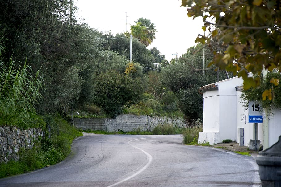 italy, messina, tree, plant, road, transportation, direction HD wallpaper