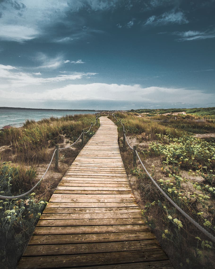 wooden pathway through seashore, sky, water, scenics - nature, HD wallpaper