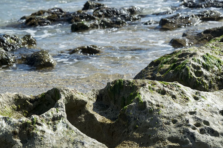 rock, plant, water, algae, sea, nature, outdoors, ocean, promontory HD wallpaper
