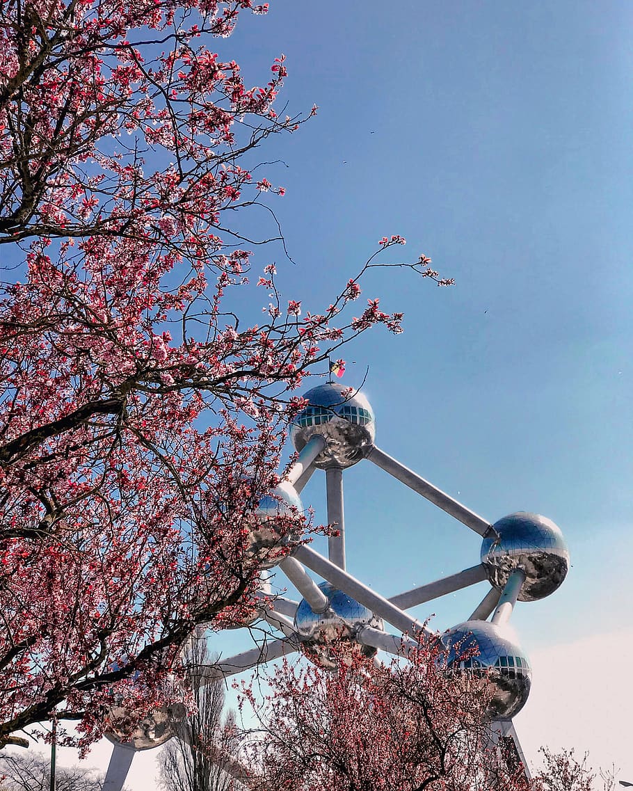 The Atomium in Brussels, blue sky, branch, bright, cherry blossoms HD wallpaper
