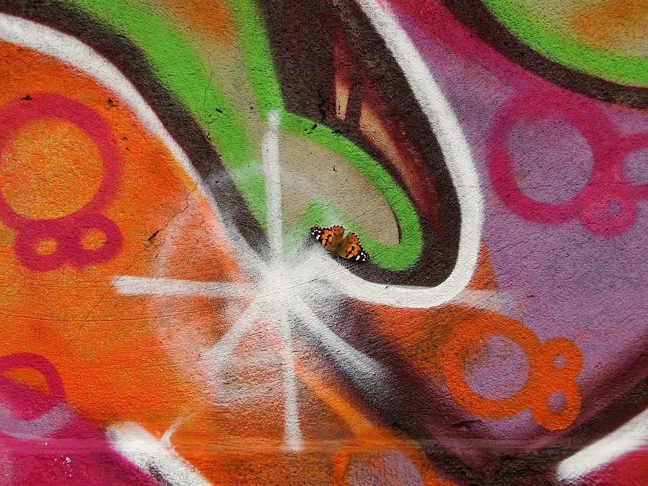 orange and black butterfly, multi colored, art and craft, creativity HD wallpaper