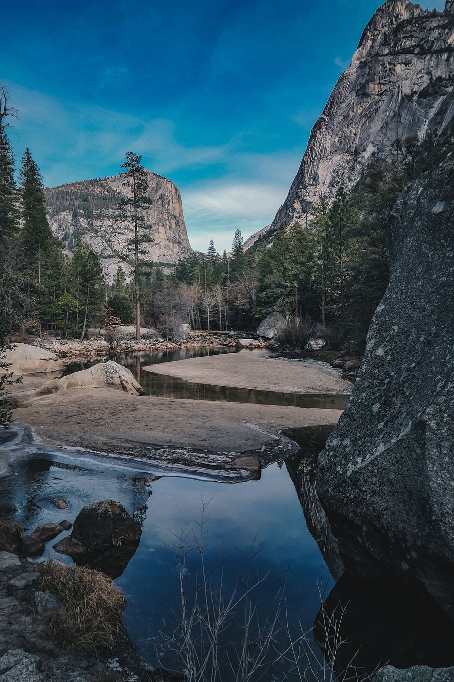 river surrounded by forest, united states, yosemite national park HD wallpaper