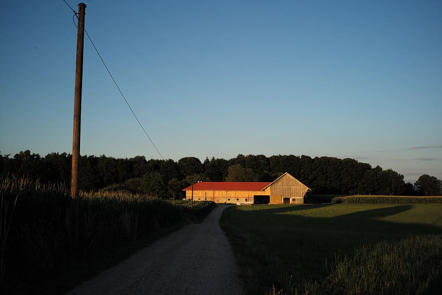 sunset, barn, forest, field, nature, landscape, sky, plant HD wallpaper