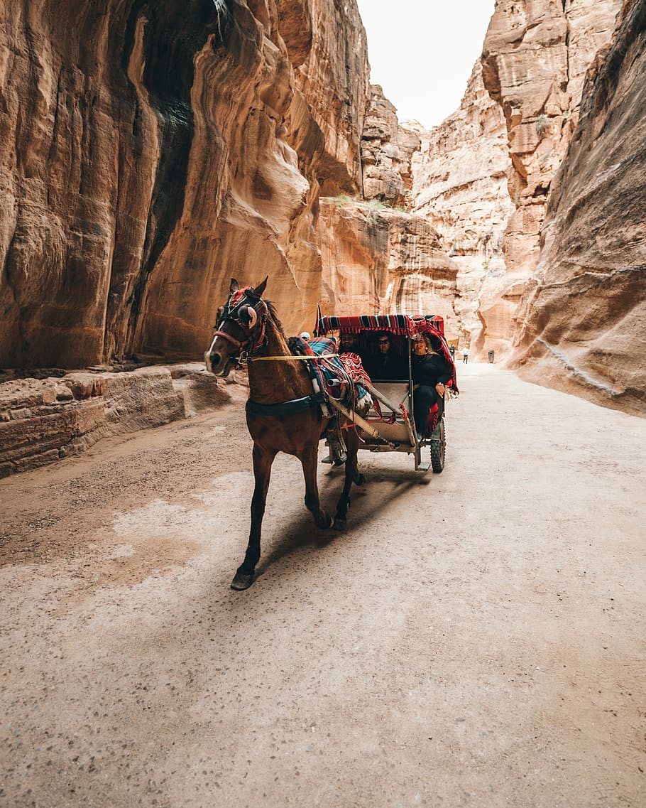 horse carriage near canyon, domestic, rock formation, domestic animals, HD wallpaper