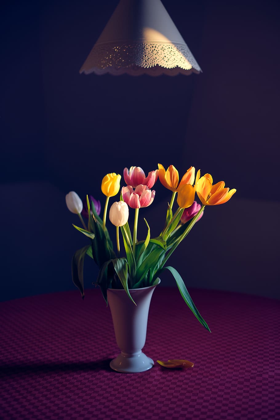 yellow petaled flower, plant, blossom, flower bouquet, flower arrangement HD wallpaper