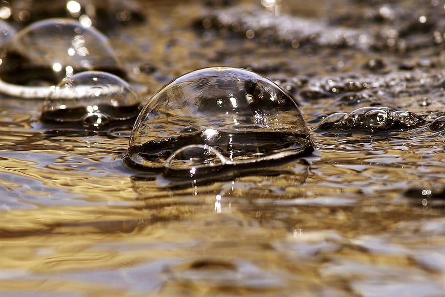 Bubble in Shallow Photo, close-up, macro, water, selective focus HD wallpaper