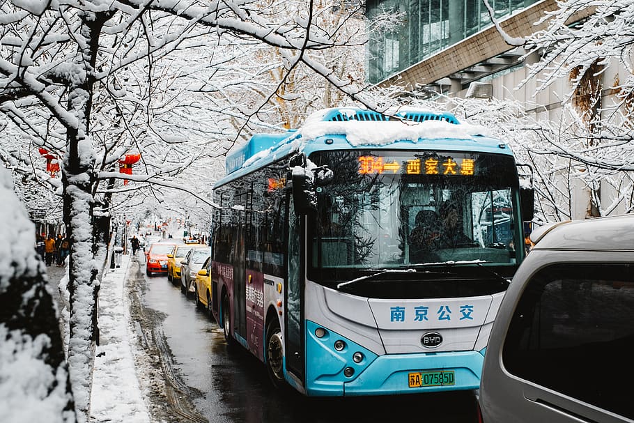 bus on road, vehicle, transportation, automobile, car, person HD wallpaper