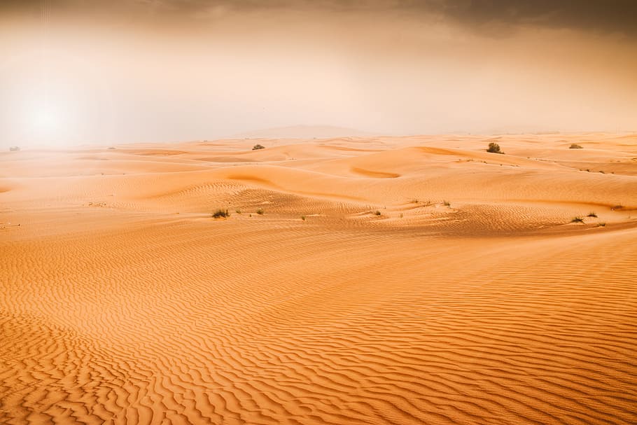 Desert dunes of Emirates, sand dune, landscape, scenics - nature, HD wallpaper