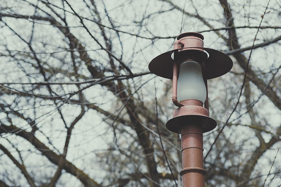 Turned of Post Light, branches, daylight, environment, lamp, landscape HD wallpaper