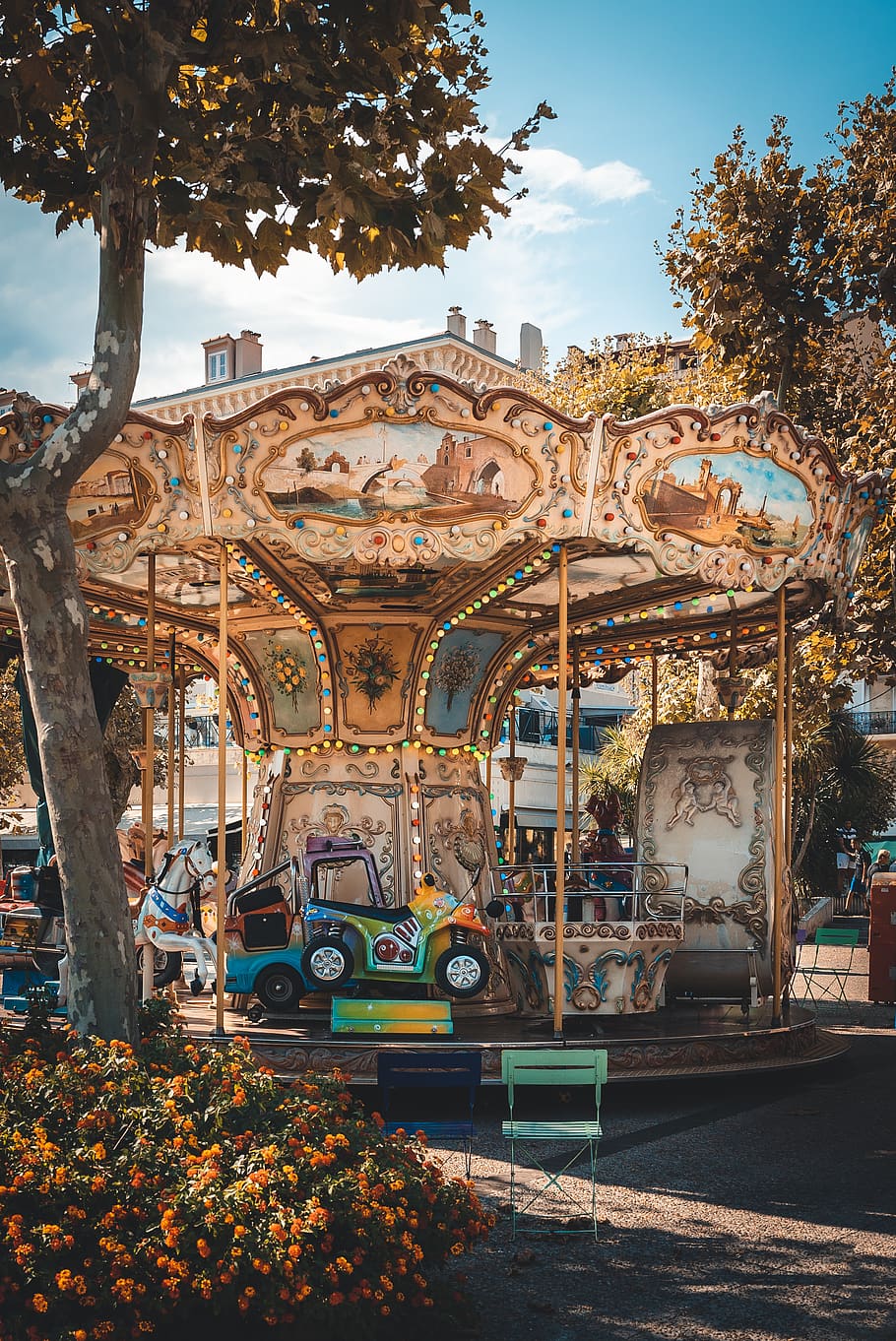 multicolored carousel near brown leaf trees at daytime, amusement park