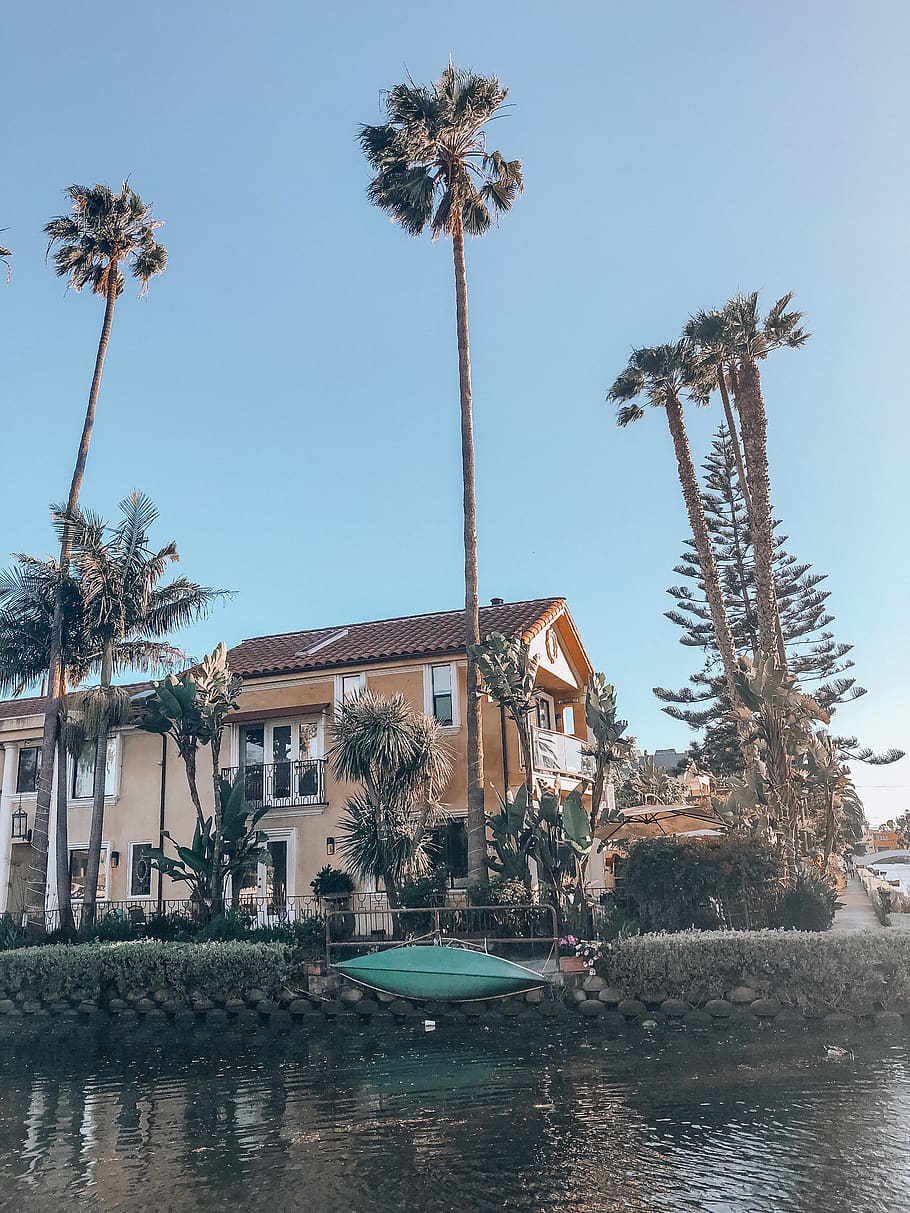 tropical climate, palm tree, plant, water, architecture, built structure HD wallpaper