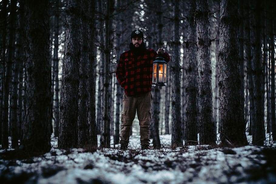 Man Holding Lantern, dawn, environment, forest, landscape, light HD wallpaper